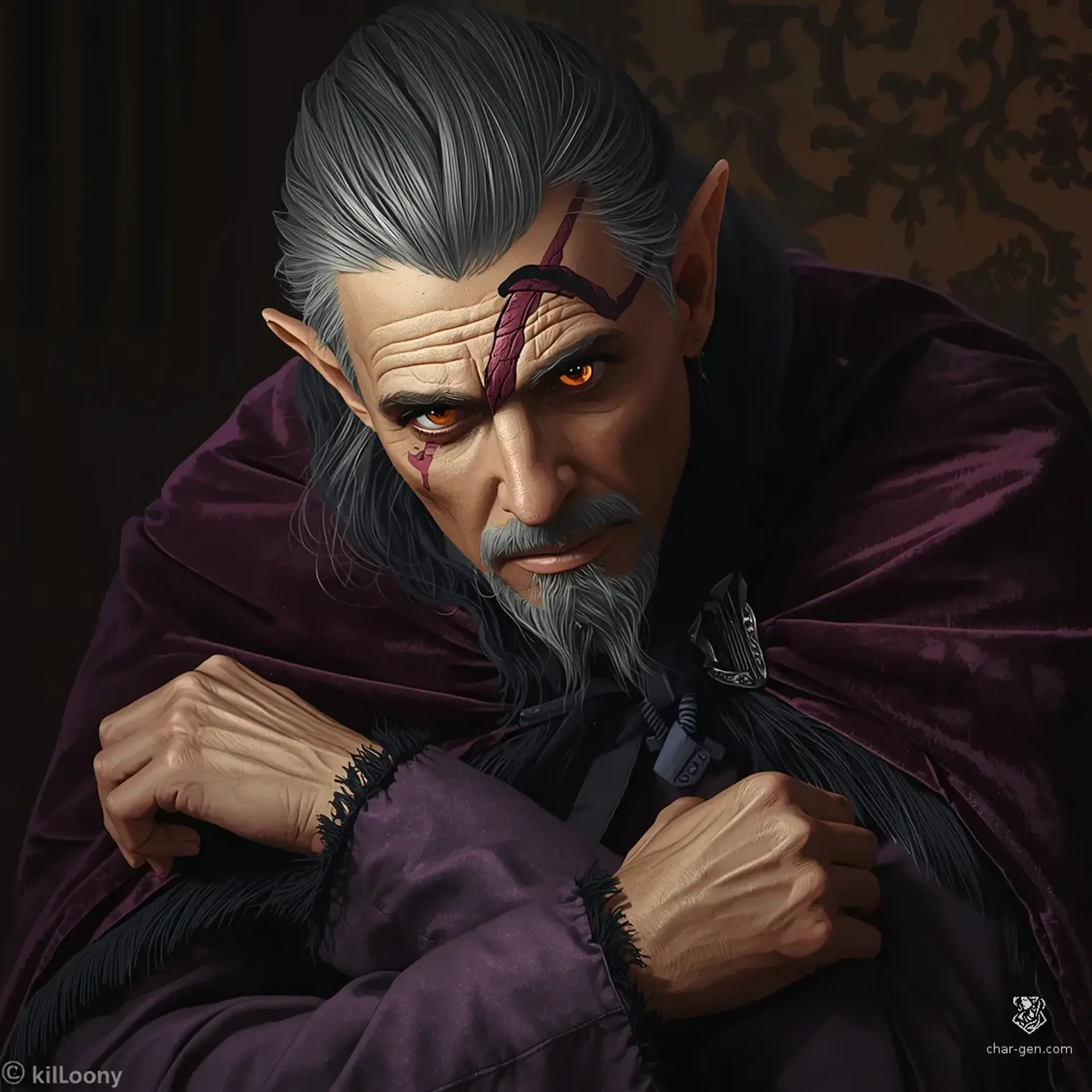 Silas Vaelen - AI-generated fantasy NPC
