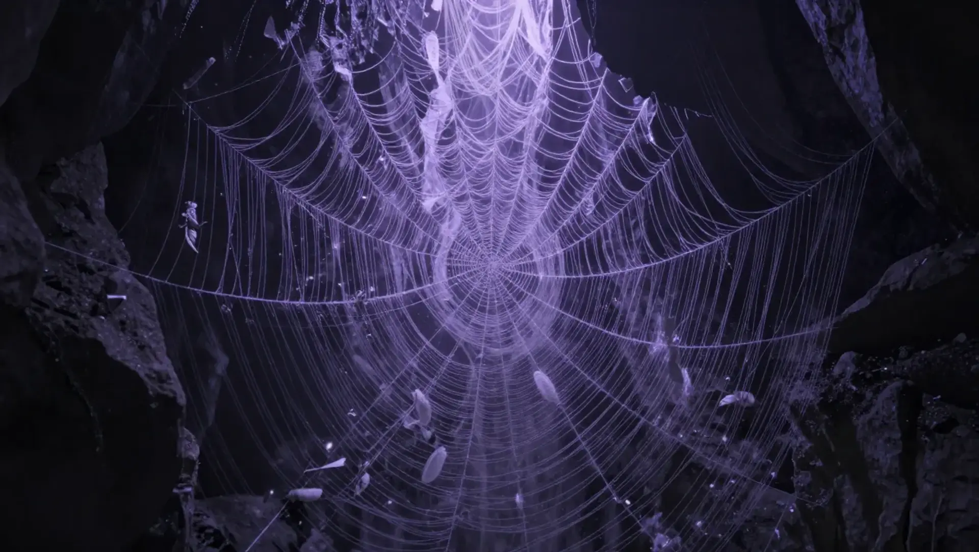 The Phase-Lock Webbing - AI-generated fantasy Hazard