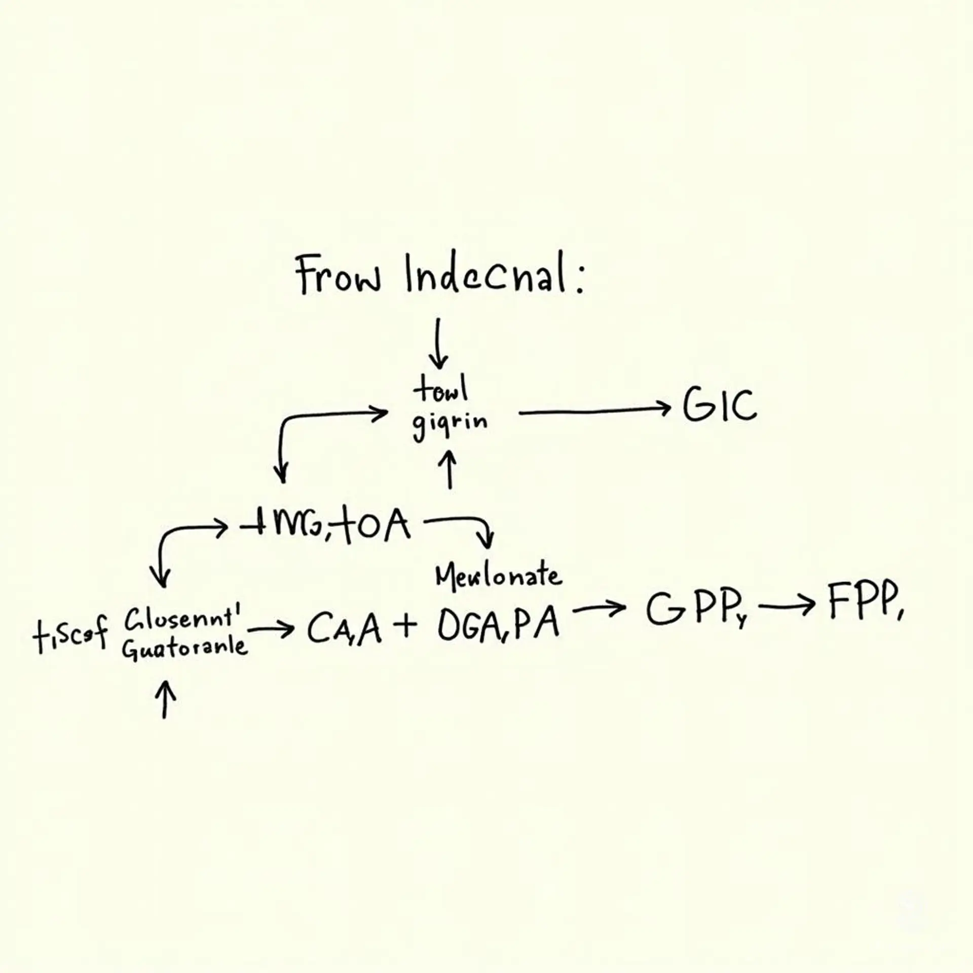 In a world where biochemistry intertwines with magic, HMG-CoA, a skilled Alchemist, condenses the essence of acetyl-CoA to forge powerful isoprenoid intermediates. Harnessing ancient knowledge, HMG-CoA crafts potent elixirs, influencing life and vitality across realms, all while battling the forces of chaotic decay.